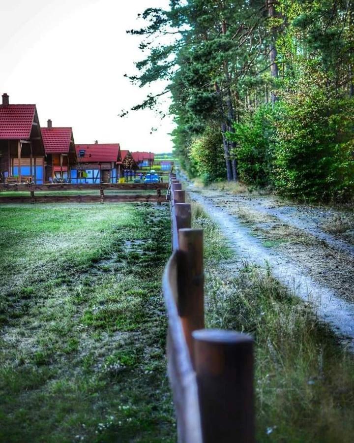 Villa Lesna Ostoja Borowy Mlyn Exterior foto