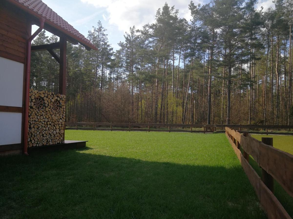 Villa Lesna Ostoja Borowy Mlyn Exterior foto